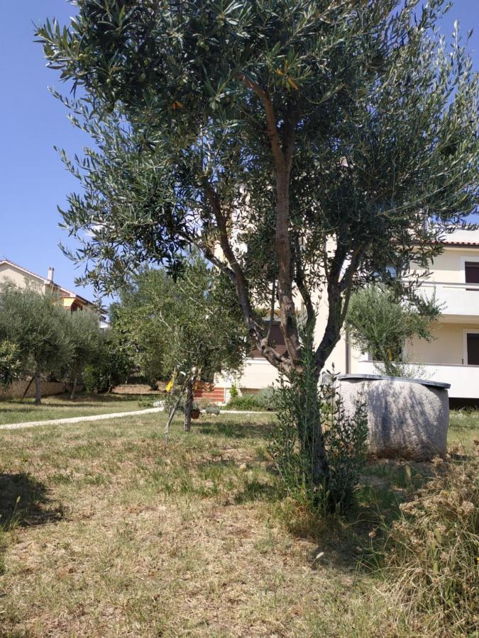 Giovanni Krk Krk Town Luaran gambar